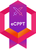 INE eCPPT