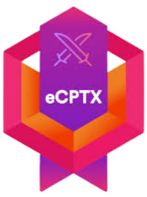 INE eCPTX