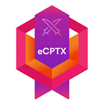 INE Security eCPTX